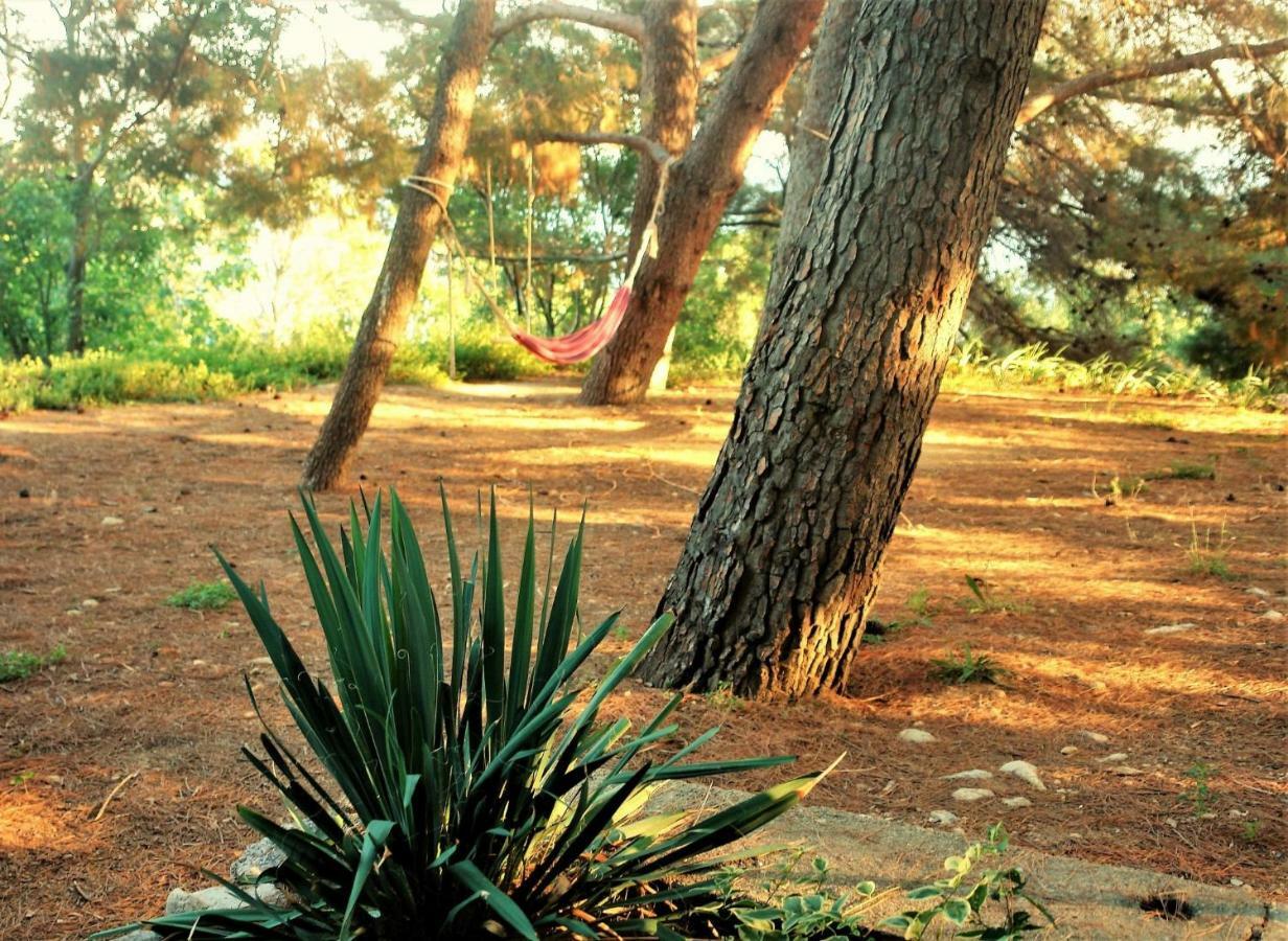 Quercus Apartment Stara Baška Dış mekan fotoğraf
